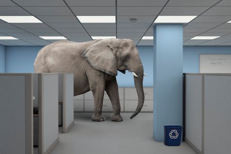 Er mange av årsakene "elefanten i rommet"?